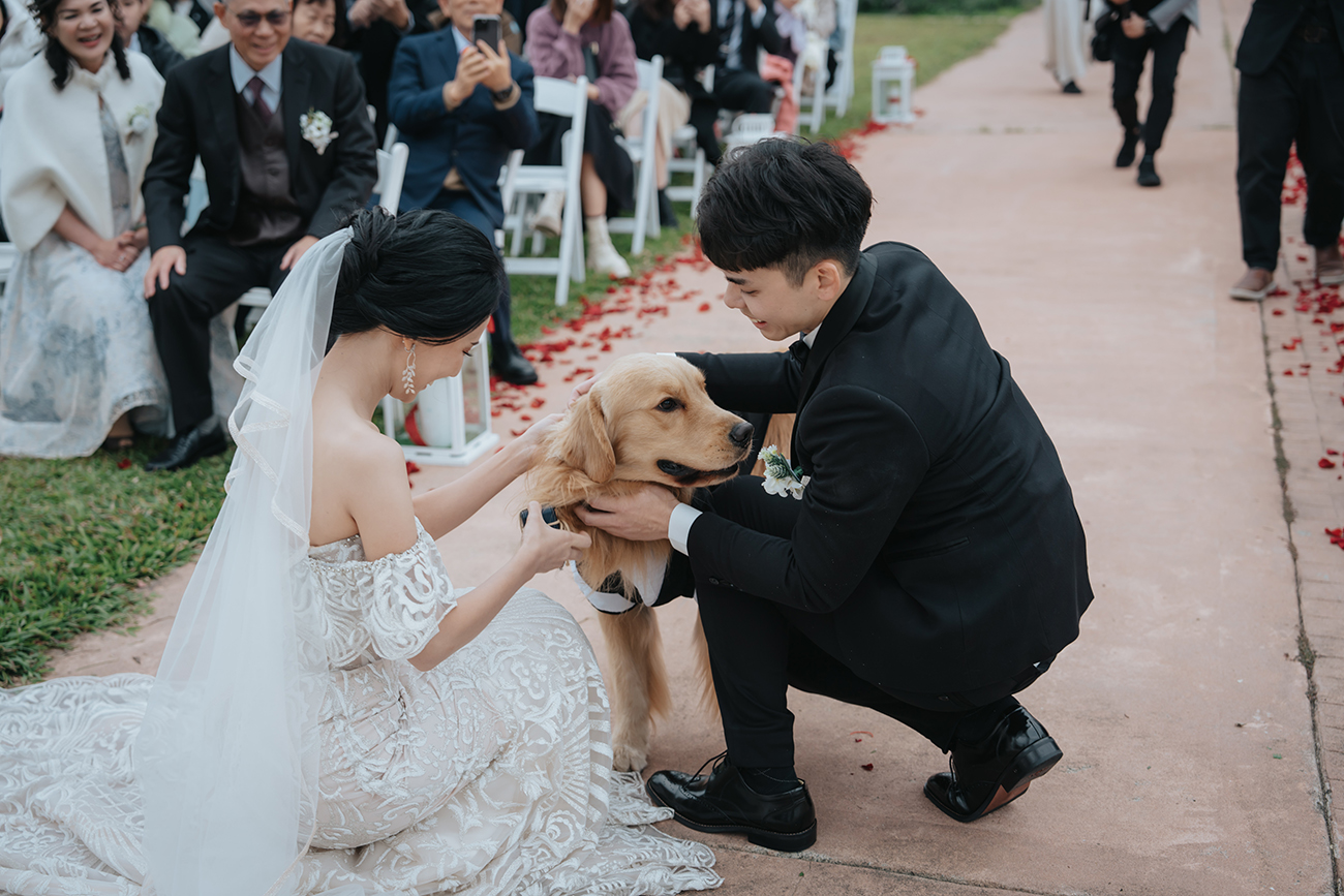 [婚攝] Ching＆Annie 婚禮紀錄@心之芳庭